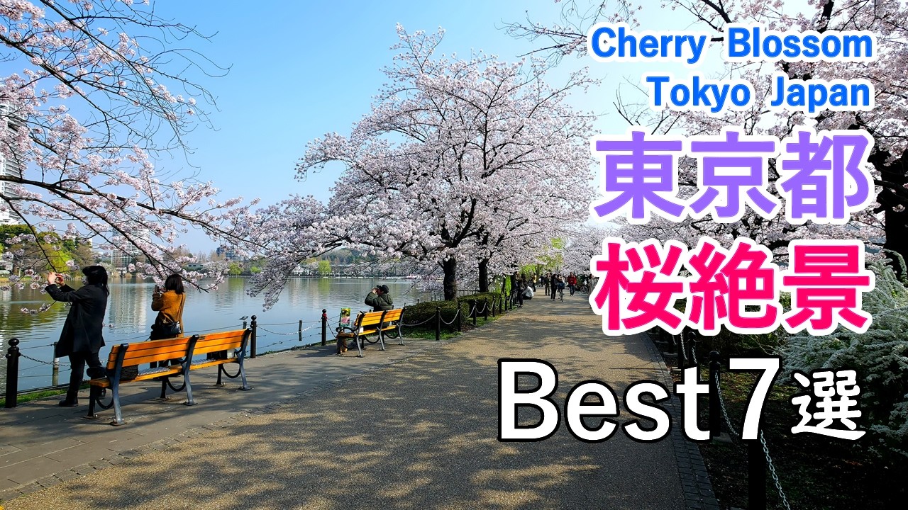 東京の桜名所！東京都の桜絶景ベスト7選  / 上野公園・隅田公園・井の頭公園・小金井公園など / Best 7 Cherry Blossom Viewing Spots in Tokyo, Japan