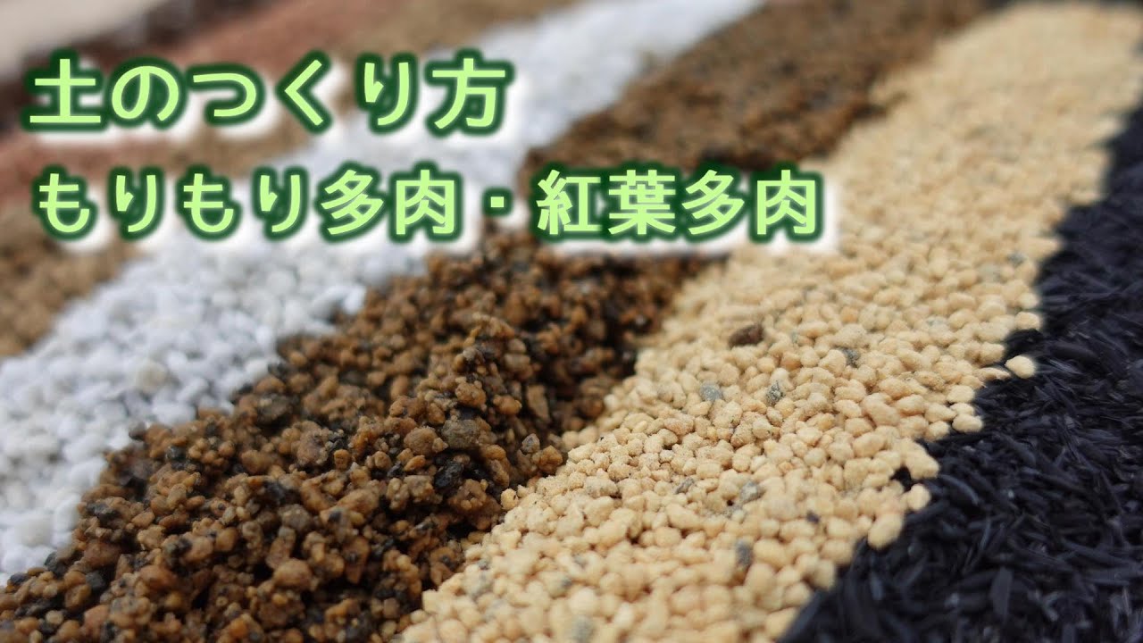 ＃5【土は楽しい‼️】つぶつぶ多肉いろいろな土のつくり方。楽しく土をつくります！