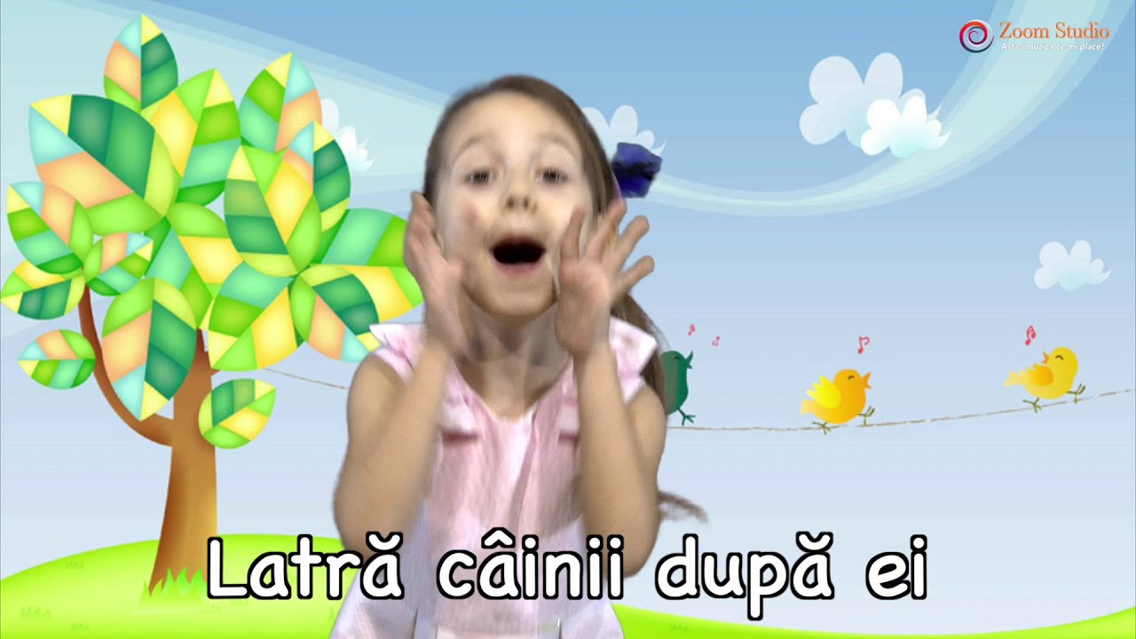 CEATA LUI PITIGOI - ANDREEA STEFAN (CANTECE PENTRU COPII 2016)