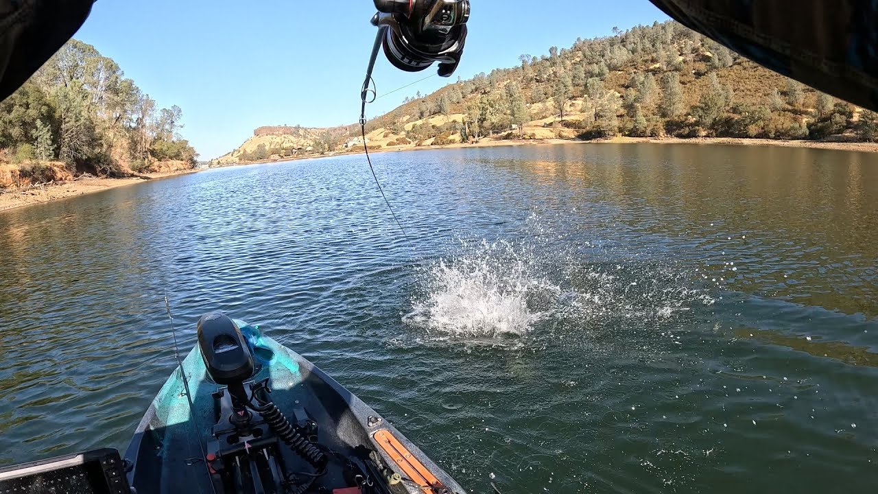 Chasing Bait - Championship on Lake Tulloch