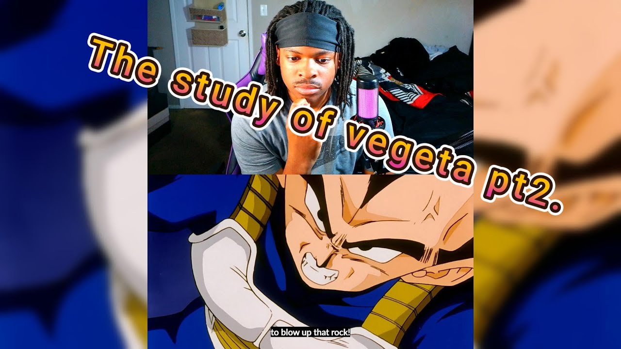 The study of vegeta pt 2
