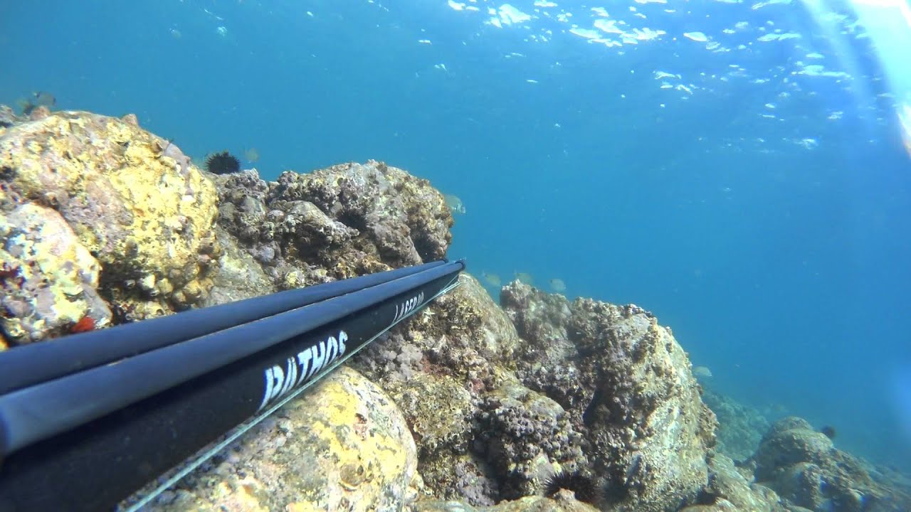 Incredible long shot pathos laser 90 (5m)