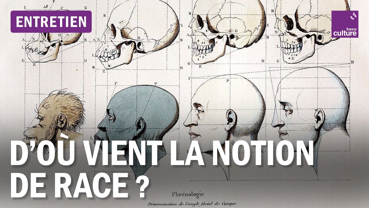Pourquoi la science a parlé de races humaines