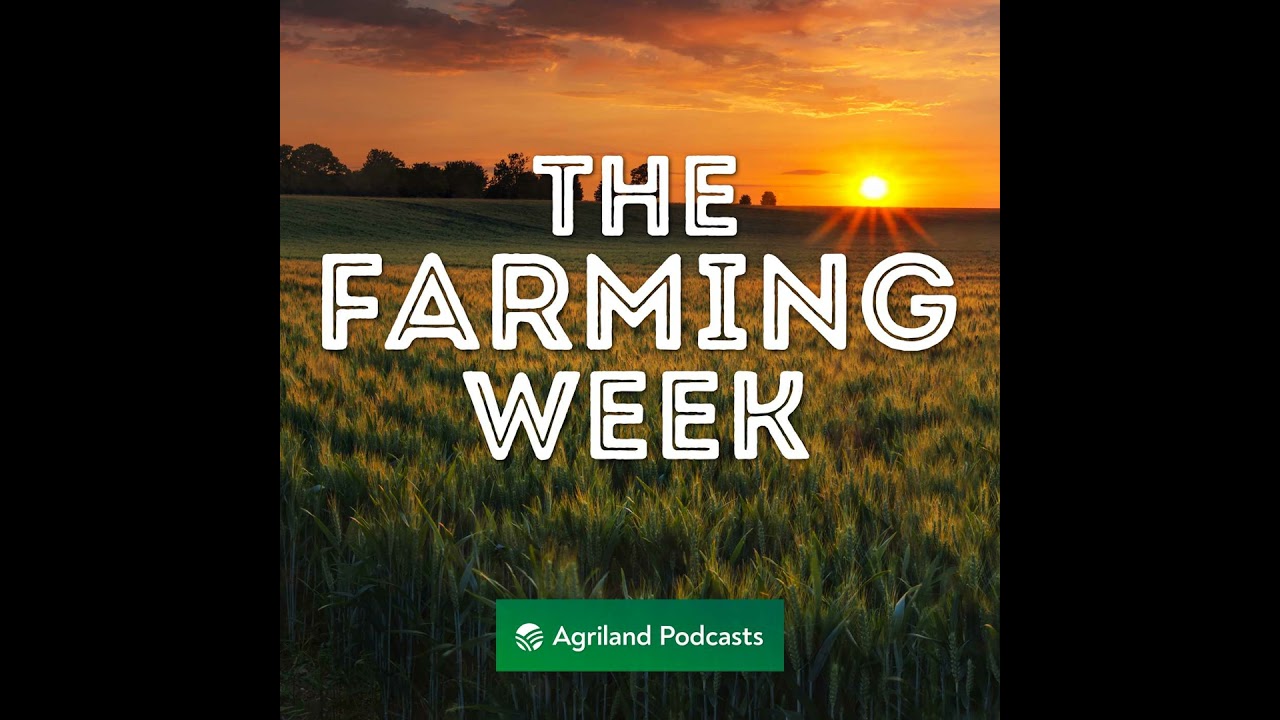 IFA head for Newbridge | EU audits Brazilian beef | 'local' weather warnings