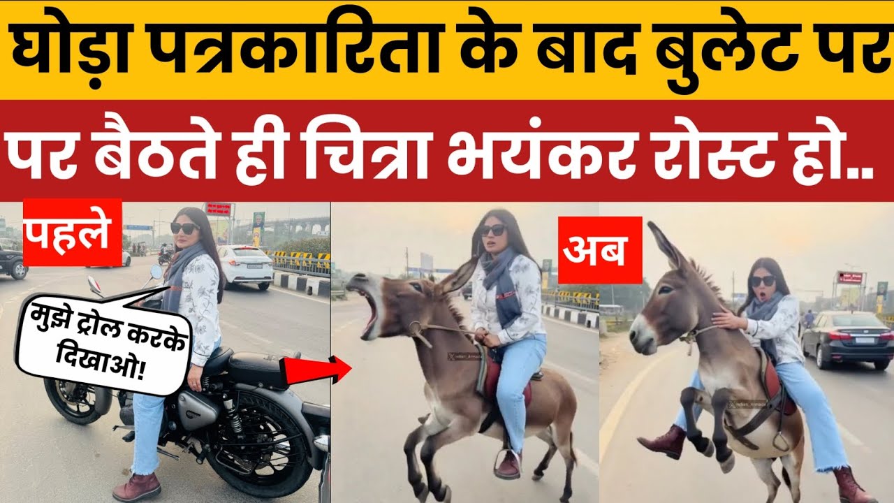 Chitra Tripathi&rsquo;s New Challenge: &ldquo;Troll Me If You Can&rdquo; Goes Viral on Social Media, Chitra Funny mems