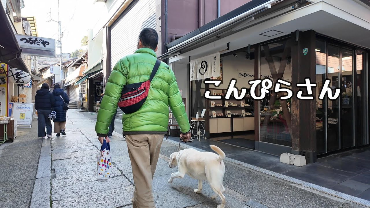 こんぴらさん（金刀比羅宮）参道を犬連れ散歩