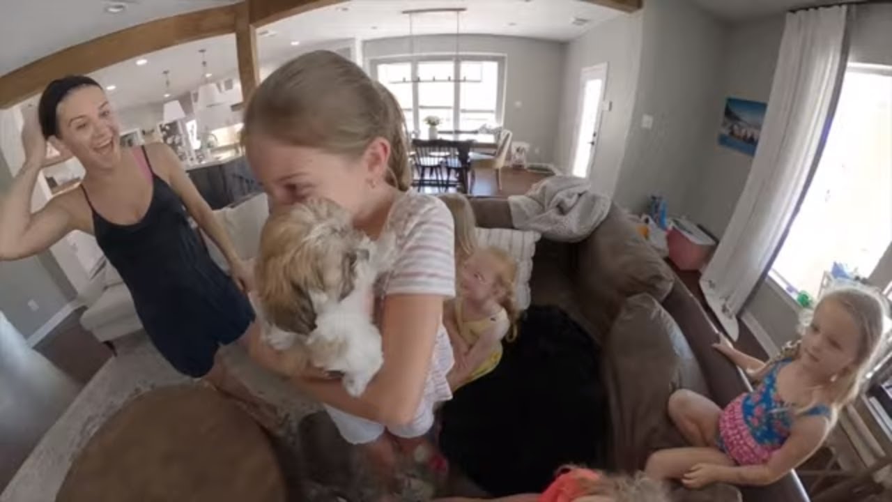 We added a new member to our family
