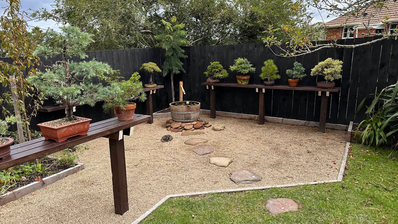 New bonsai display area