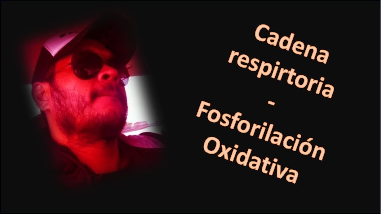 CADENA RESPIRATORIA FOSFORLACIÓN OXIDATIVA | Profe Murillo