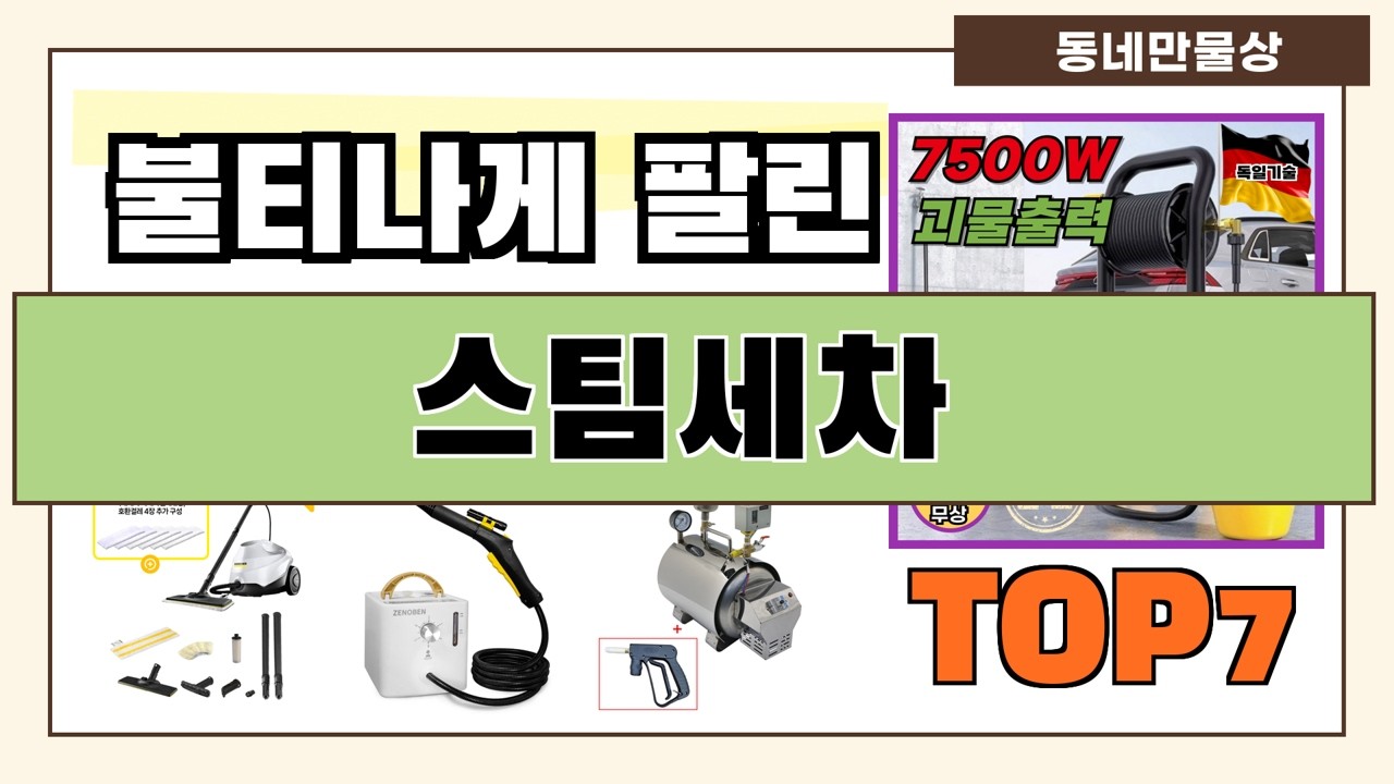 후기 좋은 상품 엄선!! 스팀세차 추천 Best7!! (가격 비교 가성비 순위)