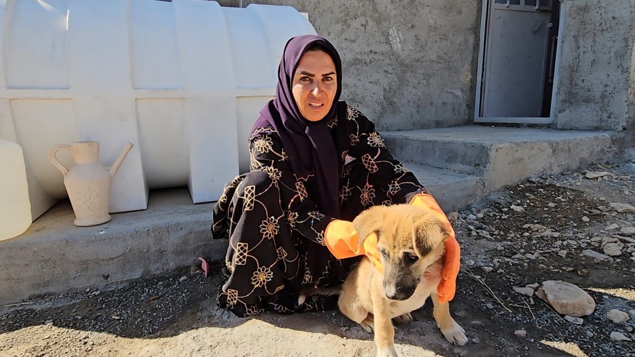 Видео, которое должны увидеть подписчики Анисы - Удаление фейкового канала - путем информирова