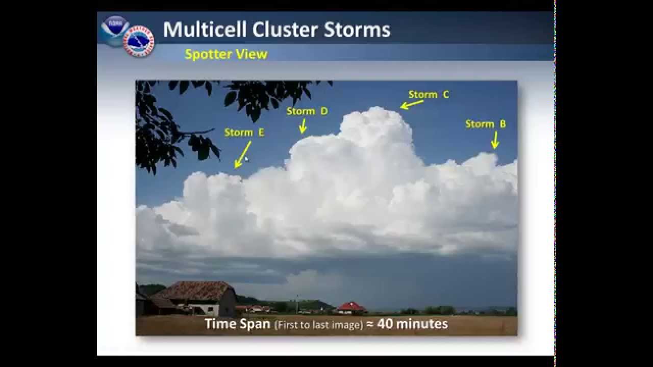 Multicells: Clusters and Squall Lines