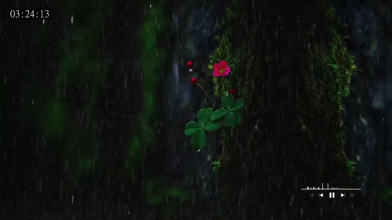 Soothing rainfall sounds drifting through a quiet evening to ease anxiety and support restful sleep