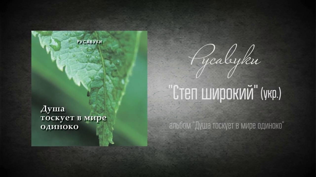 #4 Степ широкий - 