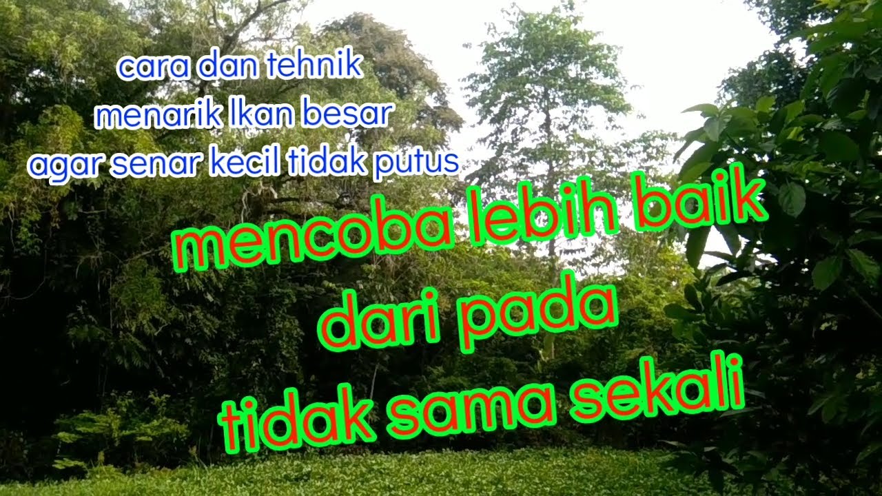 Cara dan tehnik memancing.