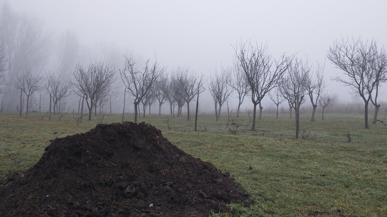 Compostare balegar - cum e cel mai bine sa folosim balegarul in gradina?