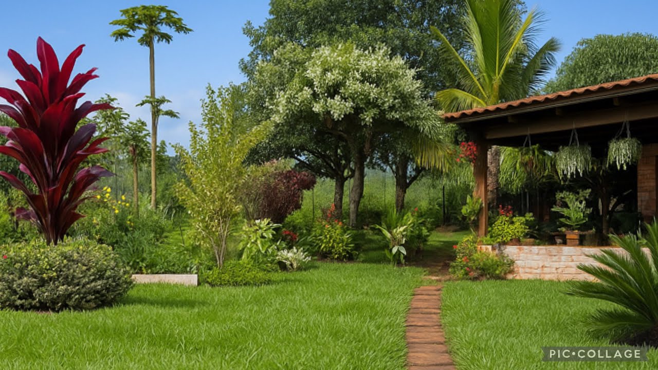 Um Jardim num S&iacute;tio Isolado que Parece um Para&iacute;so 🌴🌳