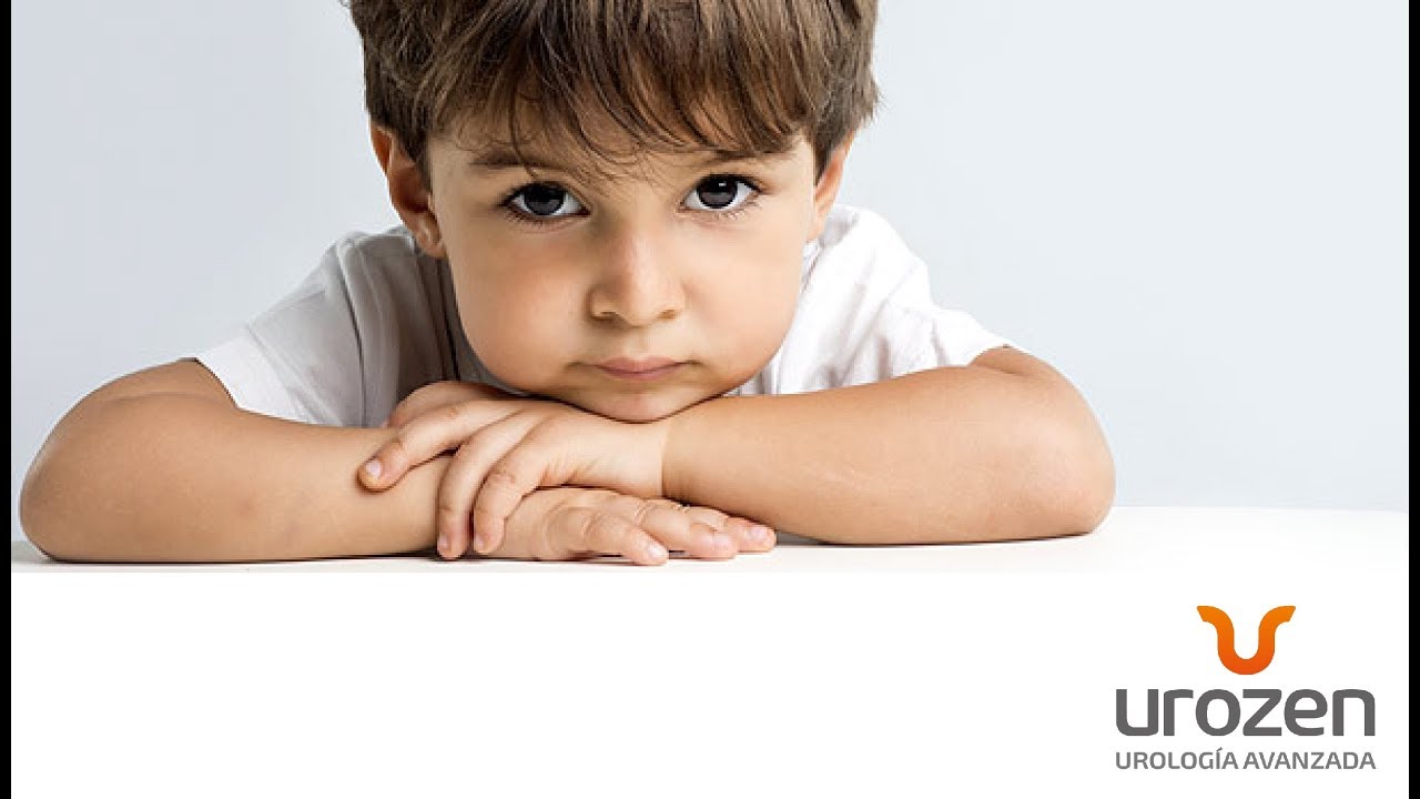 ¿Cuáles son las principales Enfermedades Renales en los niños?