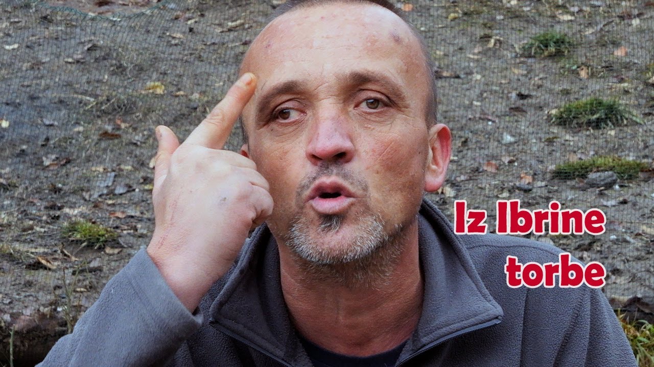 Bolje džaba raditi  nego džaba ležati