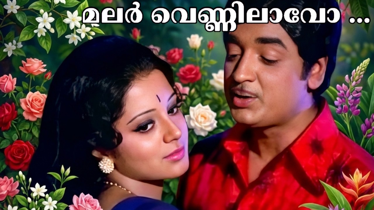 Chithra kanyake | Kamadhenu | Malayalam  movie video Song | Premnazir | Sree vidhya | Golden songs