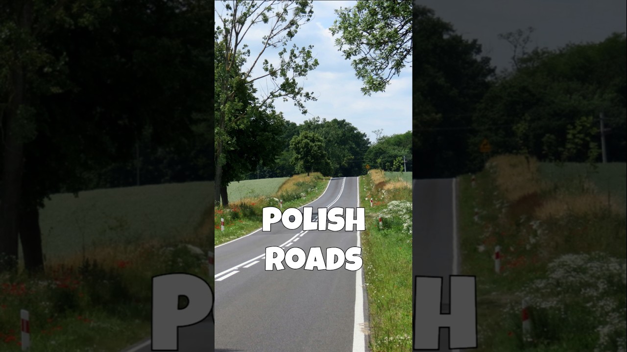 jak szybko rozpoznać polskie drogi w GeoGuessr #geoguessr #drogi