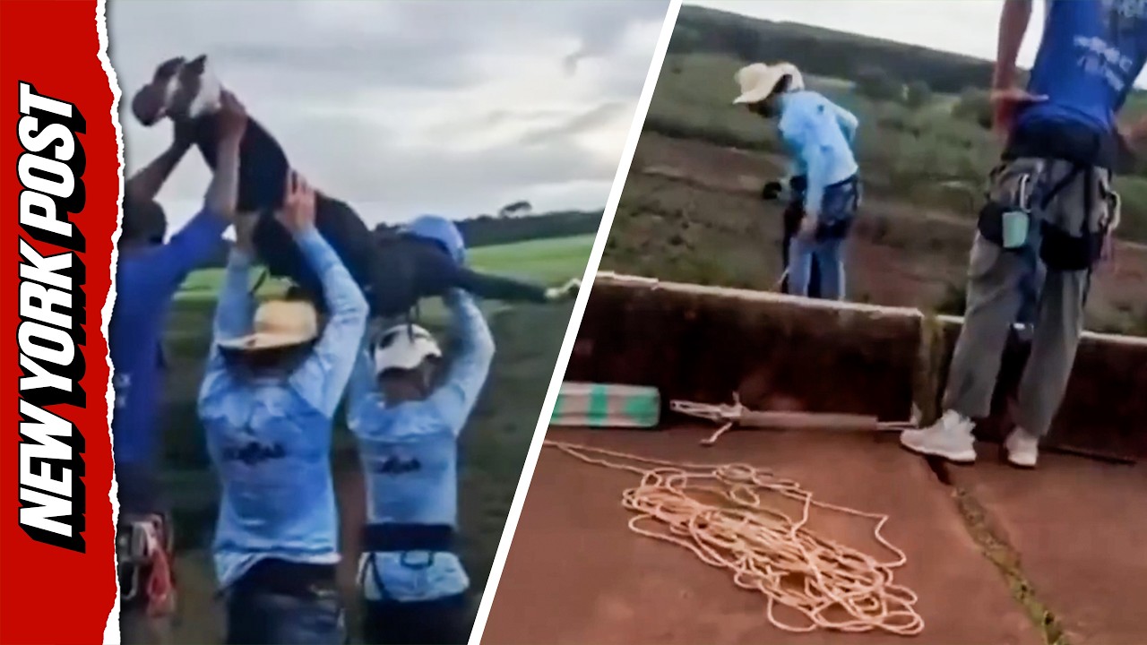 Bungee Jumper Killed by &lsquo;Pure Negligence&rsquo; After Being Thrown with No Cord