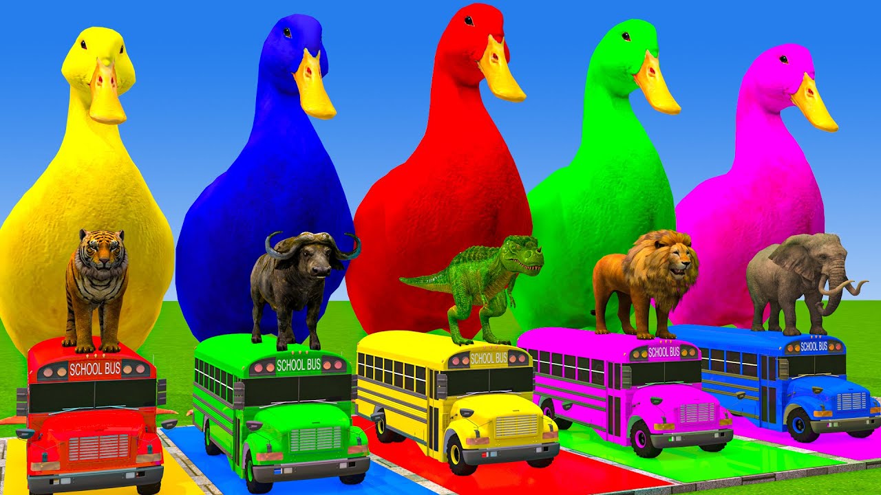 5 Giant Duck Cartoon,Cow,Elephant,Tiger,Lion,Dinosaur,Paint Wild Animals Crossing Fountain Animation