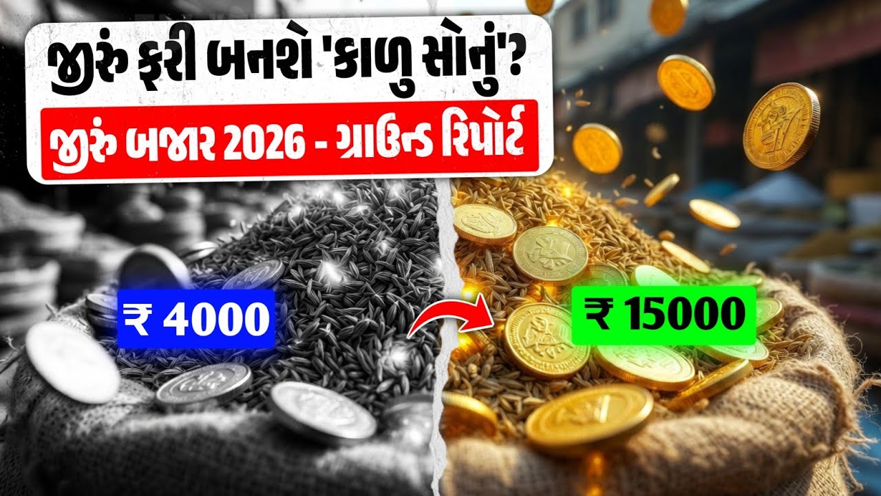 જીરુંમાં આવશે મોટી તેજી! 🚀 2026  | 😱 જીરું તોડશે રેકોર્ડ? 📈 #જીરું