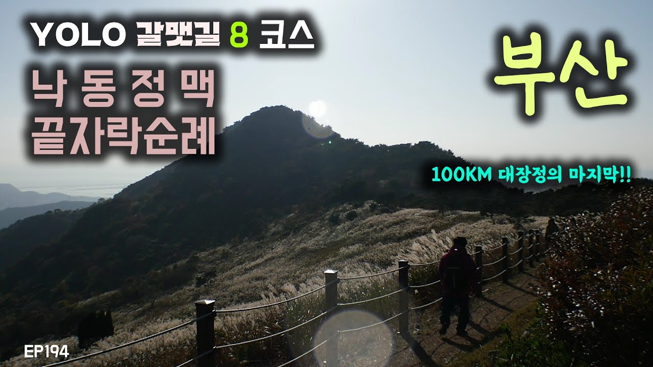 [4K] 총거리 100KM의 욜로 갈맷길 마지막 대장정 ~!! 8코스 승학산 억새능선 트레킹