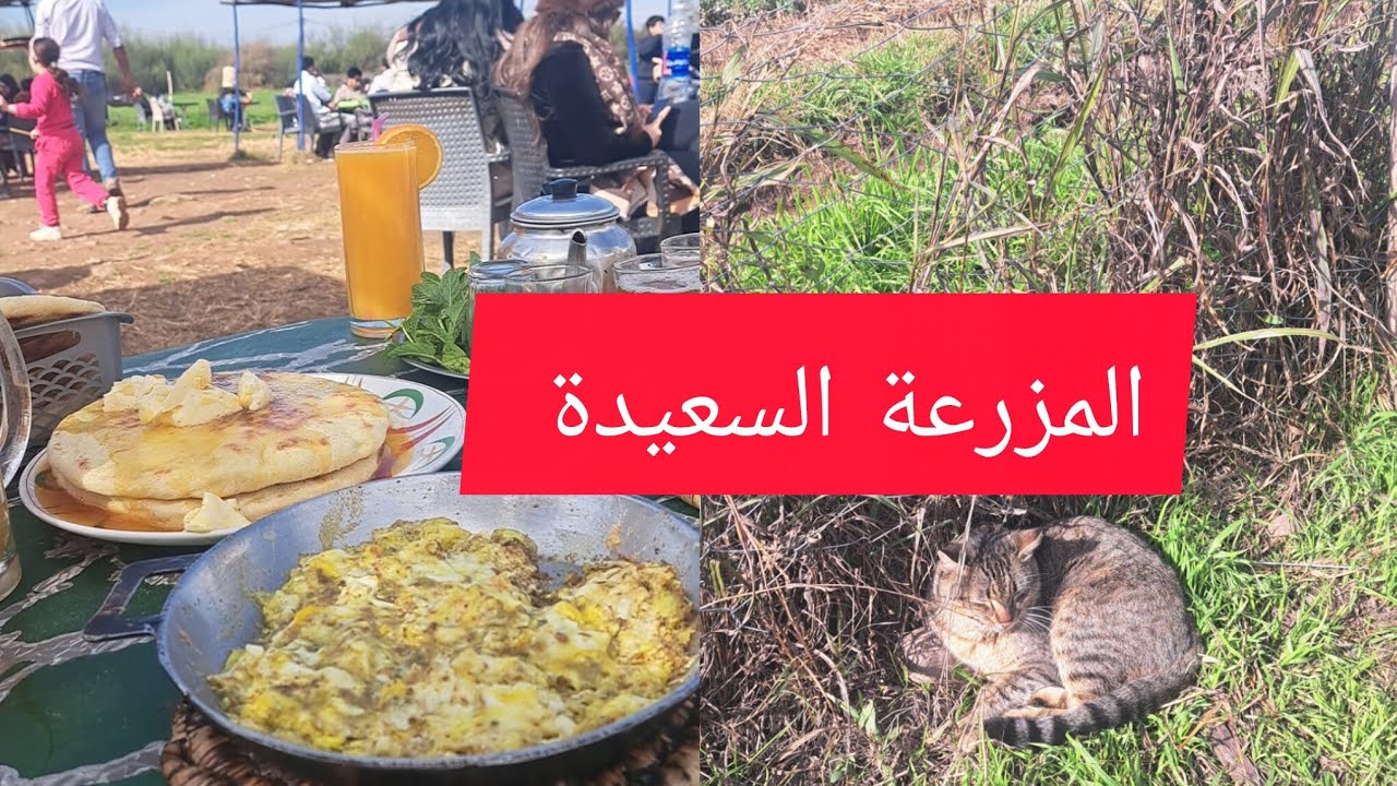 أشهر مزرعة في مراكش أجواء البادية وسط المدينة مكان يستحق الزيارة 