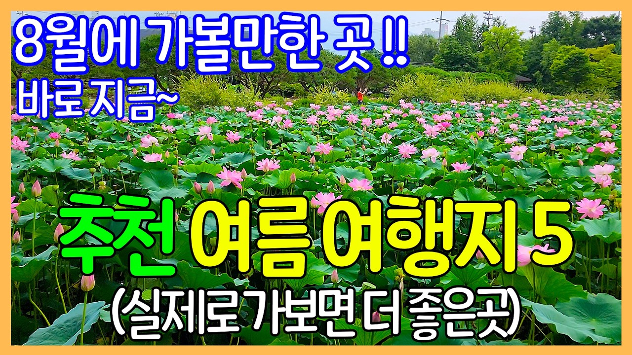 8월 여름 추천 여행지 5곳 / 외국보다 훨씬 더 멋진 대한민국 여행지 | Travel Korea