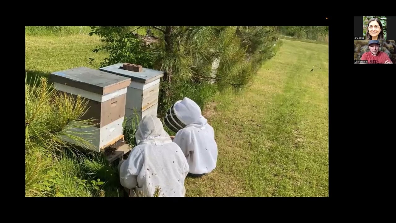 The History of Stevens Bee Co: Building a sideline bee breeding operation with Cory Stevens