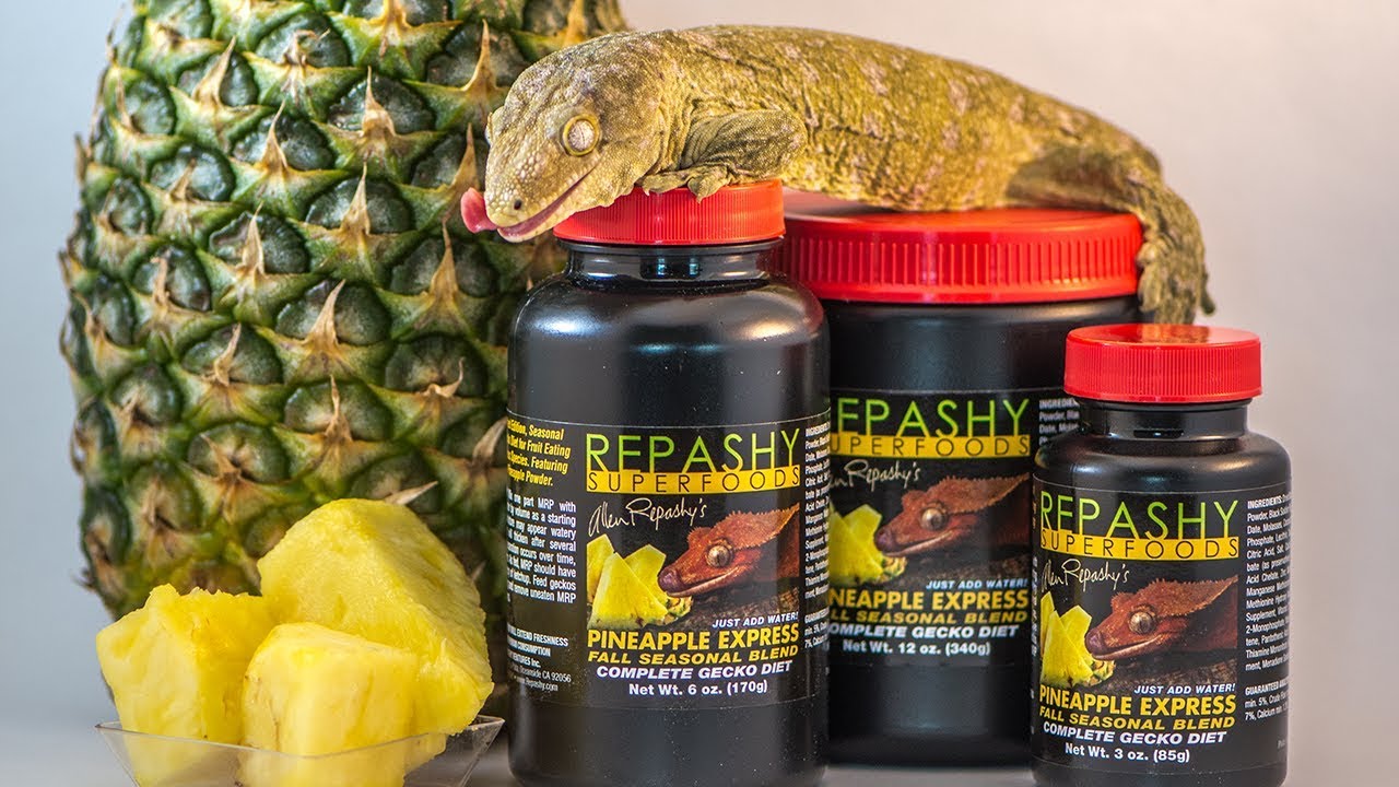 Repashy Pineapple Express Fall Blend Review by a Leachie