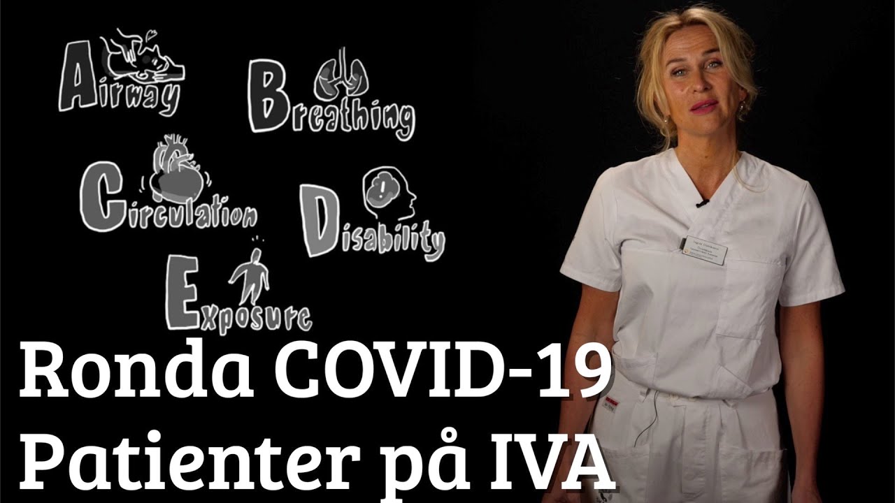 Daglig undersökning av patienter på Covid-IVA