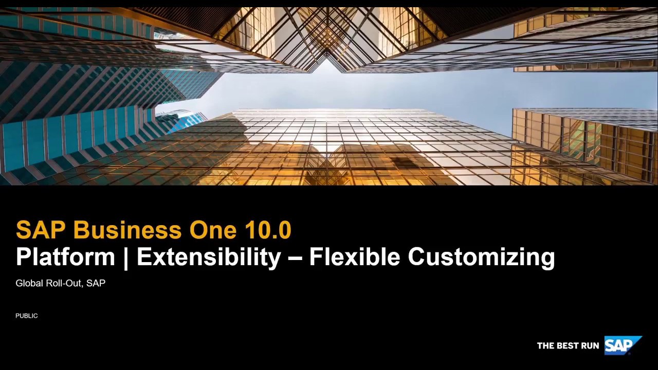 SAP Business One 10.0 Platform and Extensibility&ndash; Flexible Customizing