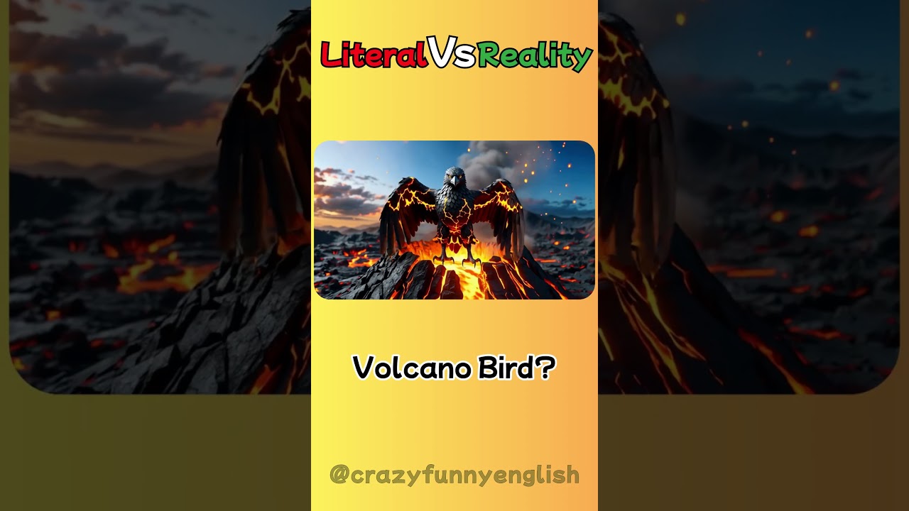 Literal vs Reality [Part 109] 