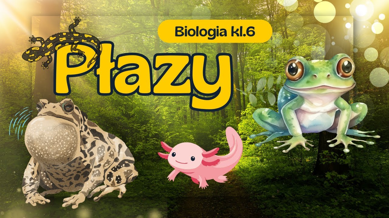 Płazy &ndash; oddychanie, rozmnażanie i rozw&oacute;j | Biologia 6 klasa | Lekcje w Pigułce