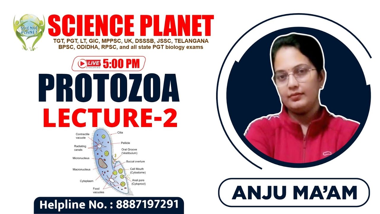 LECTURE 2 || PROTOZOA || BY ANJU MAM
