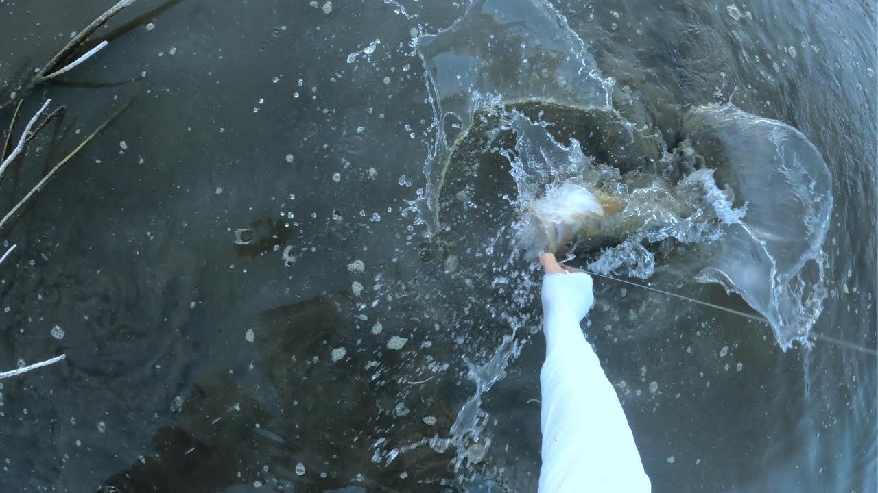 dropping 19 bomb (BASS FISHING)