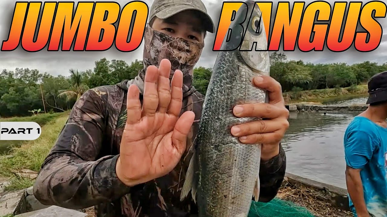 P1 - JUMBO BANGUS