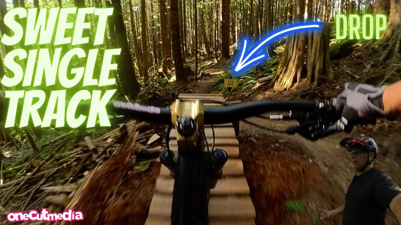 All About Yew  and new Lower Lumbar in Squamish BC