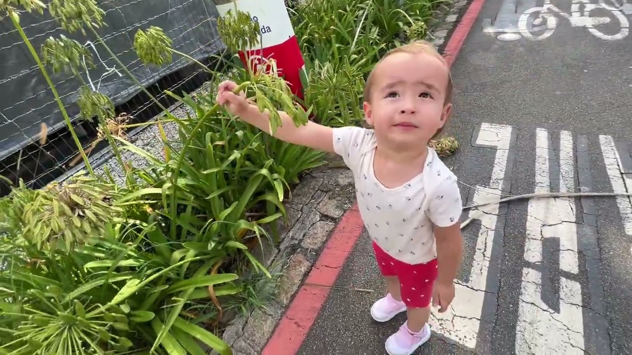 Amaya 01/02/2026