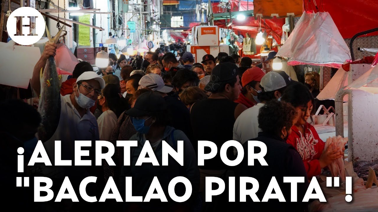 ¡Que no te engañen! En 31% de las ventas de bacalao dan mantarraya u otras especies; alerta estudio