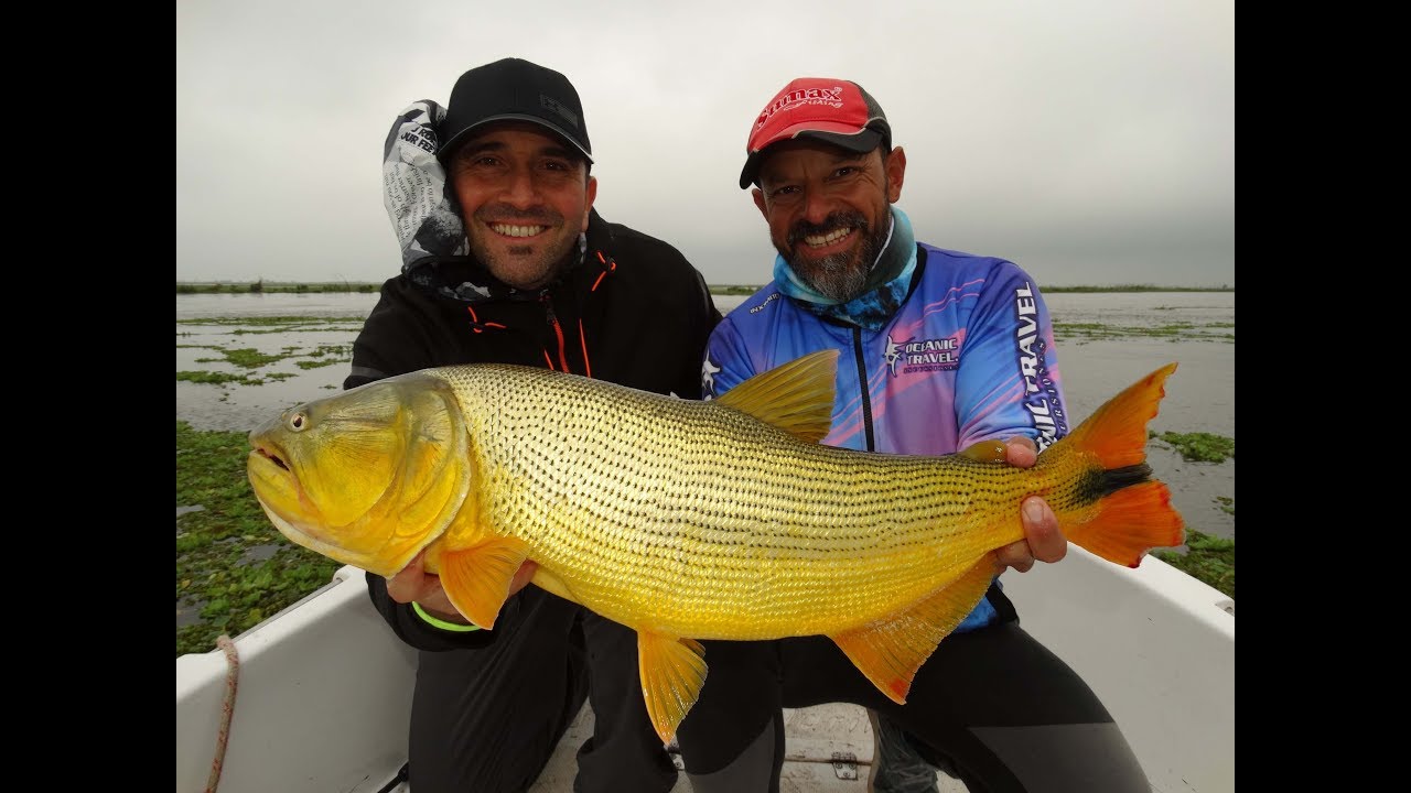 Impresionante pesca en Rosario - EL PATO TV 888 - 25-07-2019