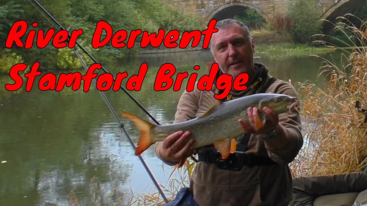 River Derwent at Stamford Bridge, Barbel Fishing