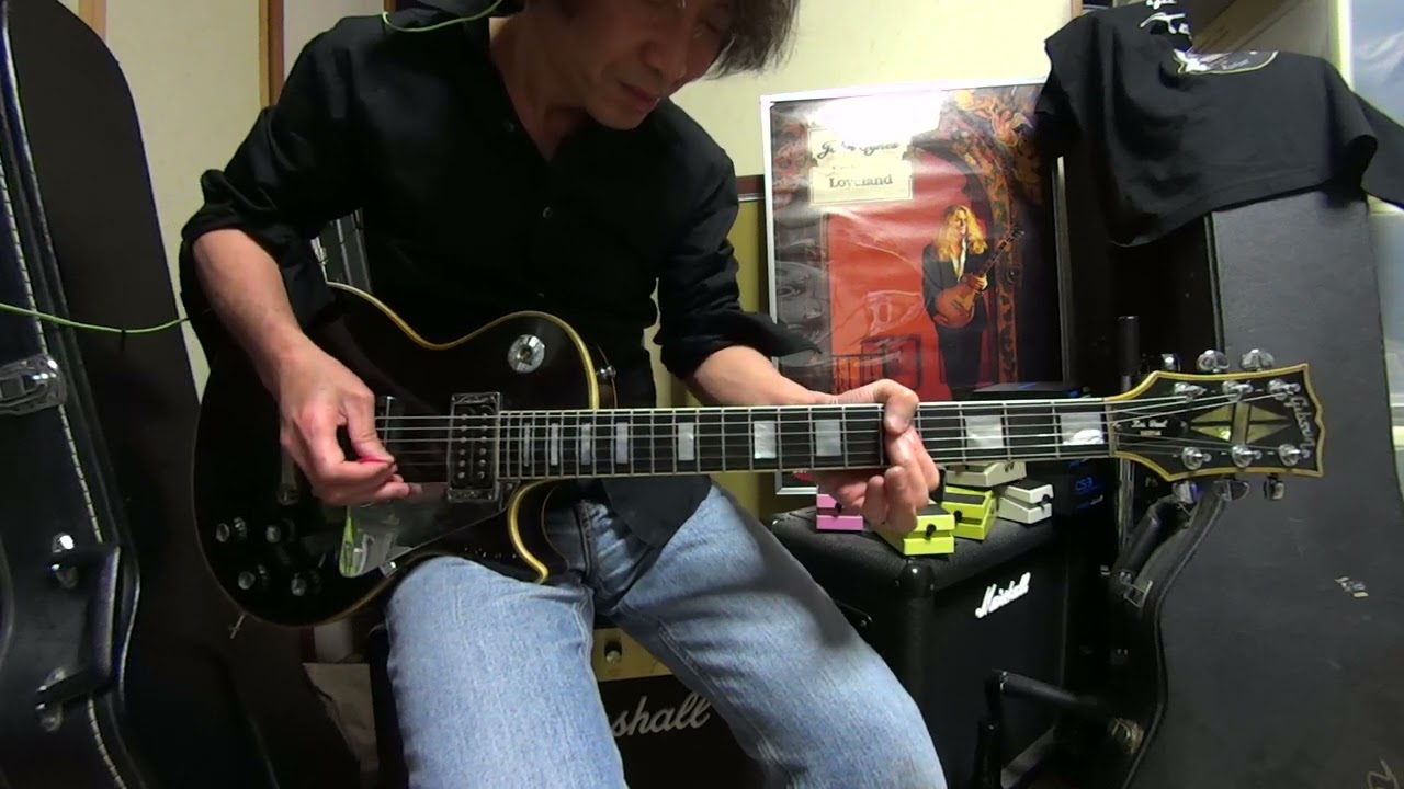 You're Gonna Break My Heart Again / WHITESNAKE (Cover) Ver.2