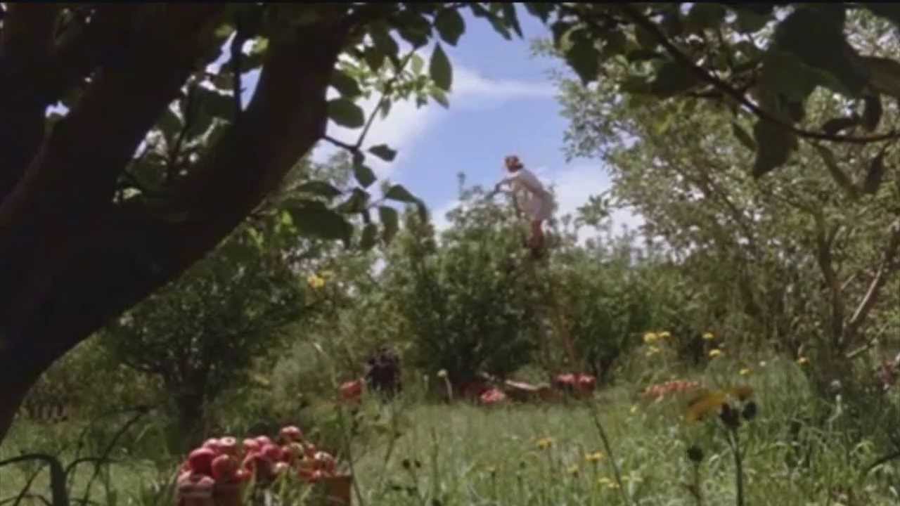 Young Einstein - Tasmanian Devil Scene