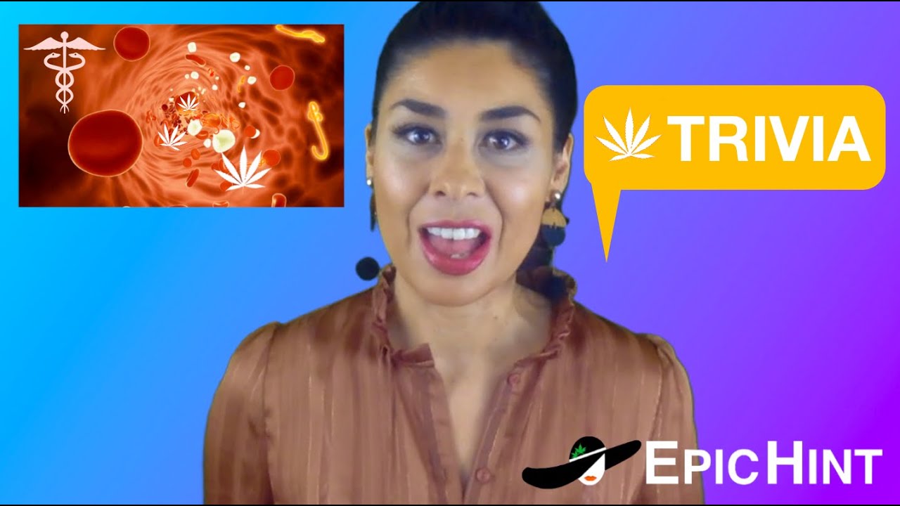 Cannabis Training Trivia (How does cannabis work in the human body? &raquo;)