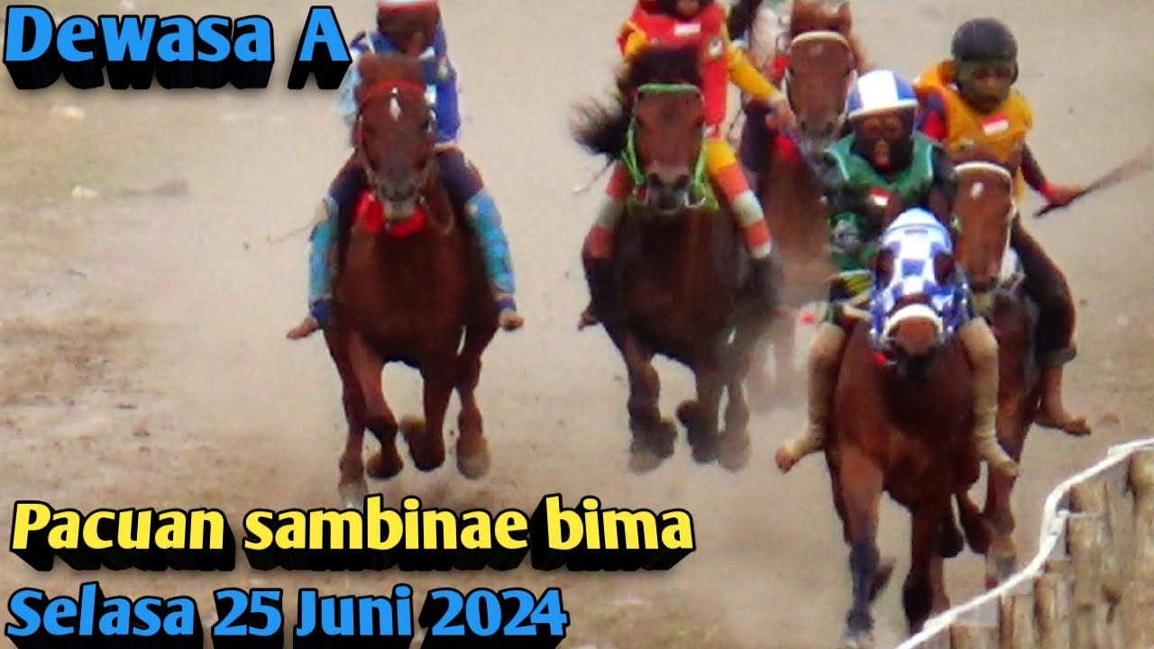 Dewasa A !!! Pacuan kuda sambinae kota bima 2024 !!!  25 juni 2024