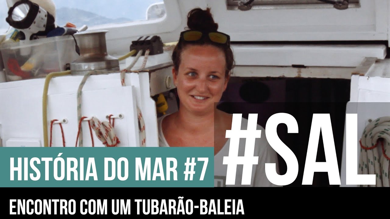 ENCONTRO COM UM TUBAR&Atilde;O-BALEIA | #SAL HISTORIA DO MAR #7